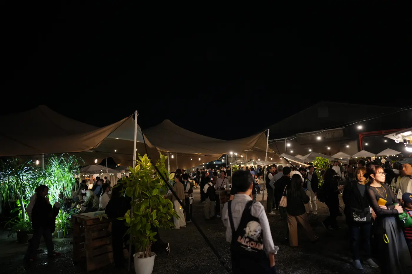 夜の会場に並ぶストレッチテント
